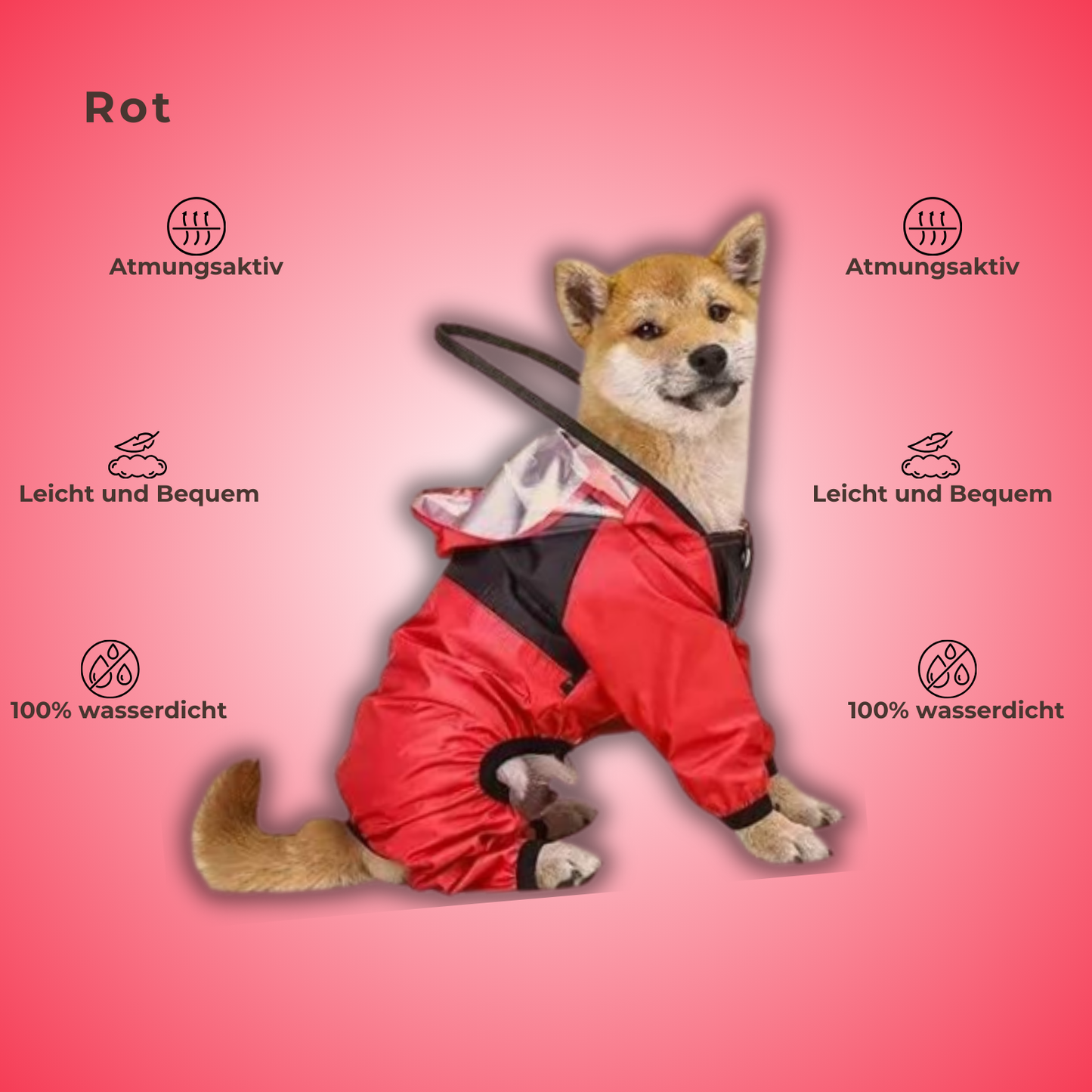 RainRover™